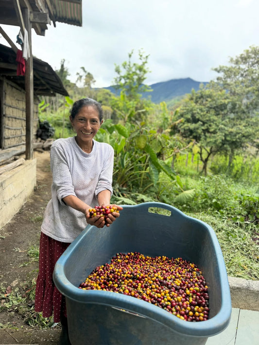La Perla Yellow PERU 250g